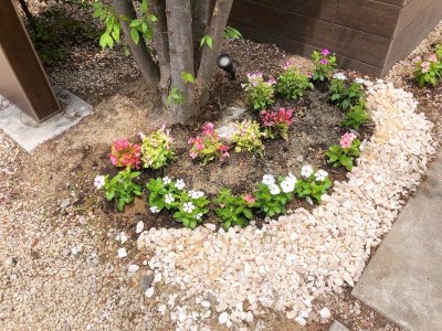 お花を植えました❀