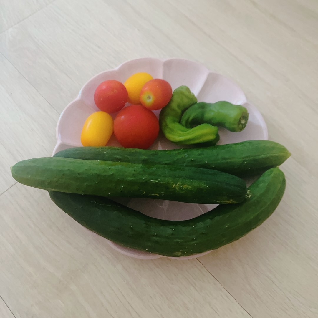 夏野菜🍅🍆💕