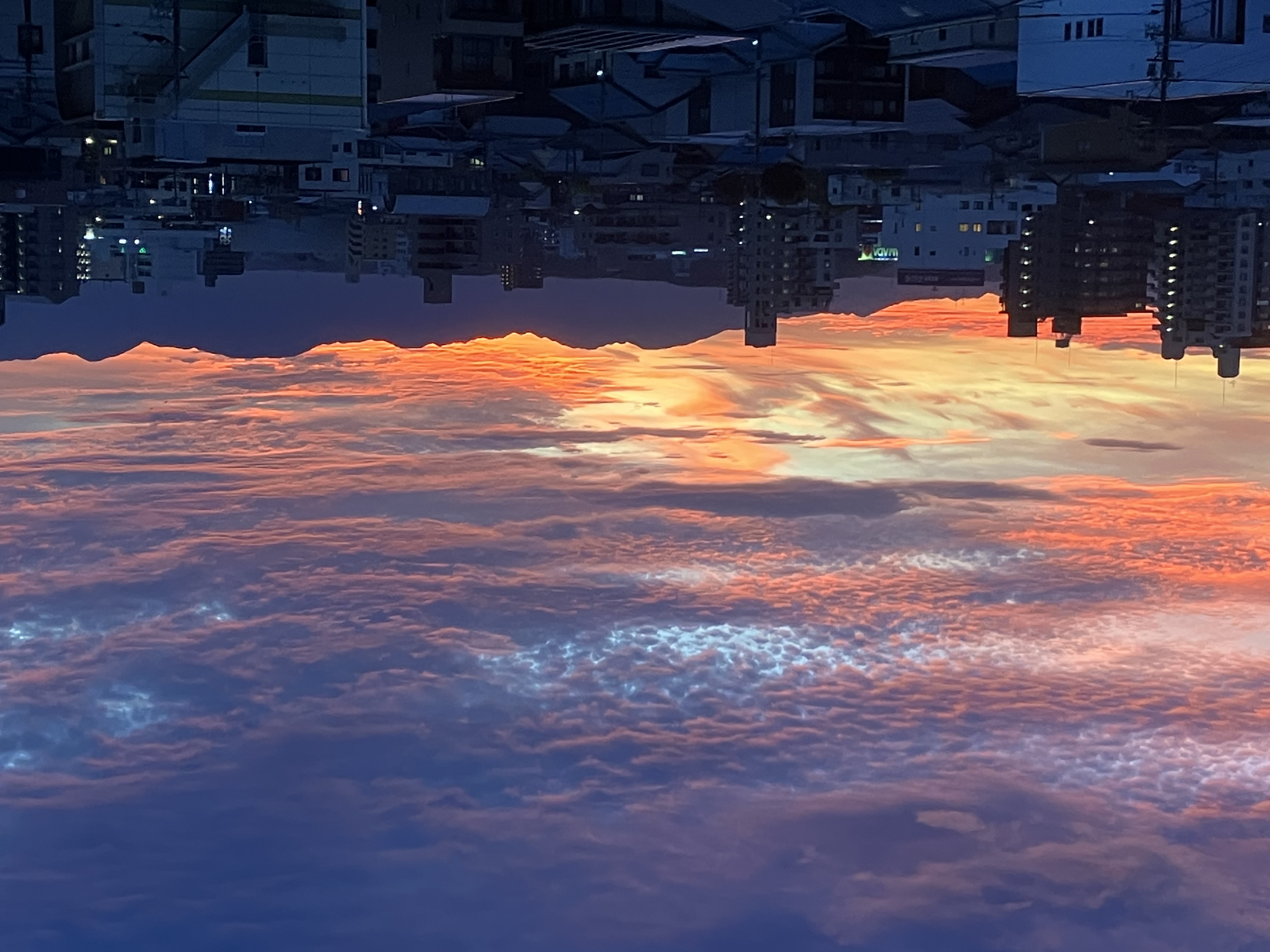 日没