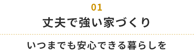 丈夫で強い家づくり いつまでも安心できる暮らしを