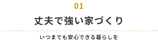 丈夫で強い家づくり いつまでも安心できる暮らしを