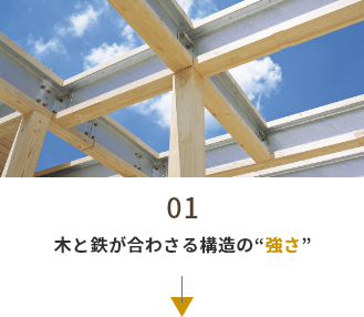 01　木と鉄が合わさる構造の強さ