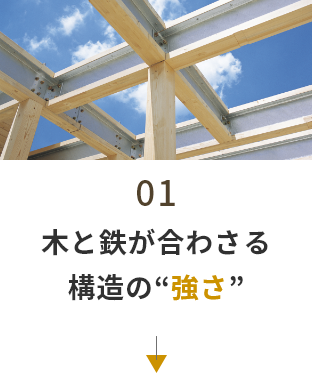 01　木と鉄が合わさる構造の強さ