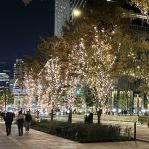 冬の夜を彩る！