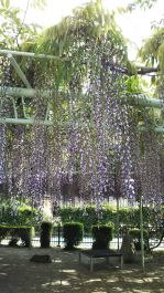 ゴールデンウイーク